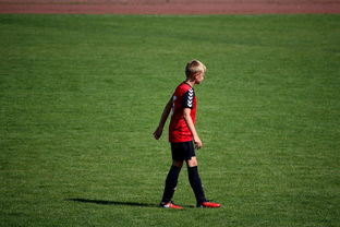 米兰体育APP网页版-世界青年滑板锦标赛中国少年夺奖，青少年滑板联赛